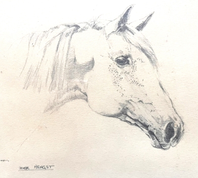 Learn to Draw mornings Series of 3 Thursday mornings ~ Lyn Evans   